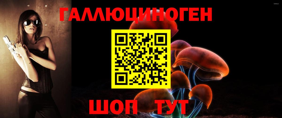 Жигулёвск  Галлюциногенные грибы прущие грибы  Вход с VPN 